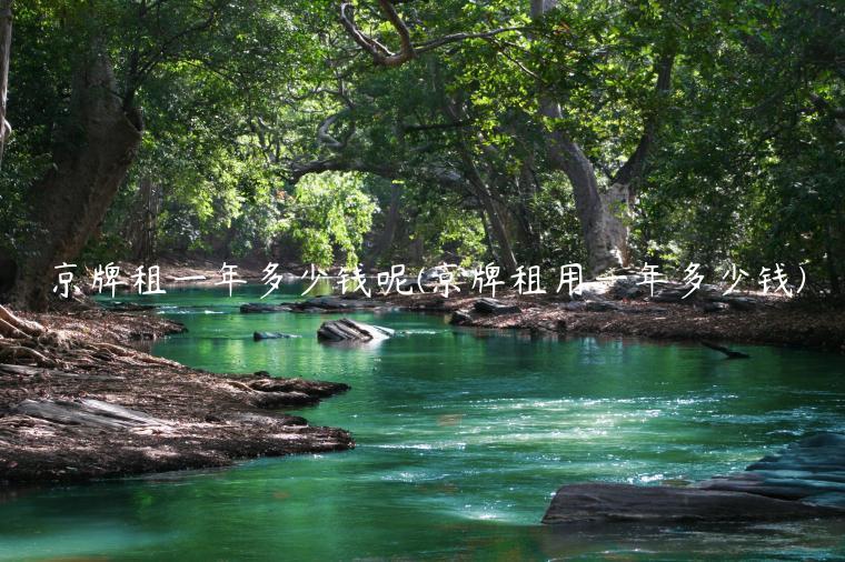 京牌租一年多少钱呢(京牌租用一年多少钱)