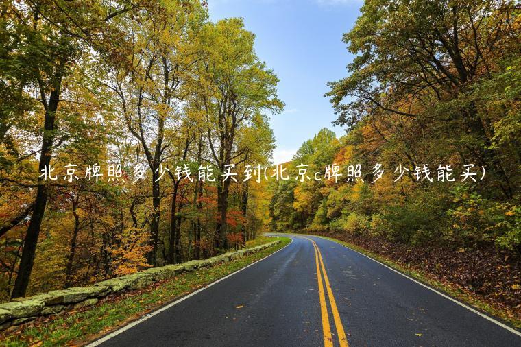 北京牌照多少钱能买到(北京c牌照多少钱能买)