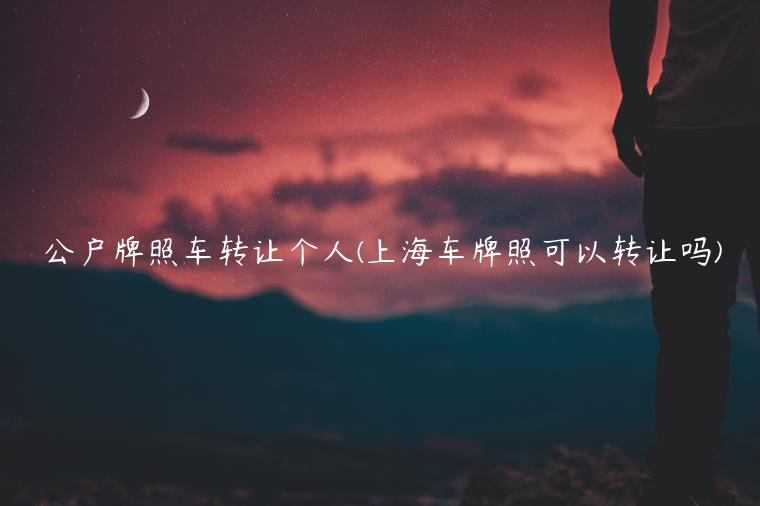 公户牌照车转让个人(上海车牌照可以转让吗)