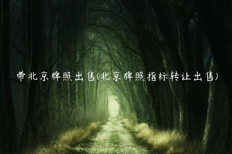 带北京牌照出售(北京牌照指标转让出售)