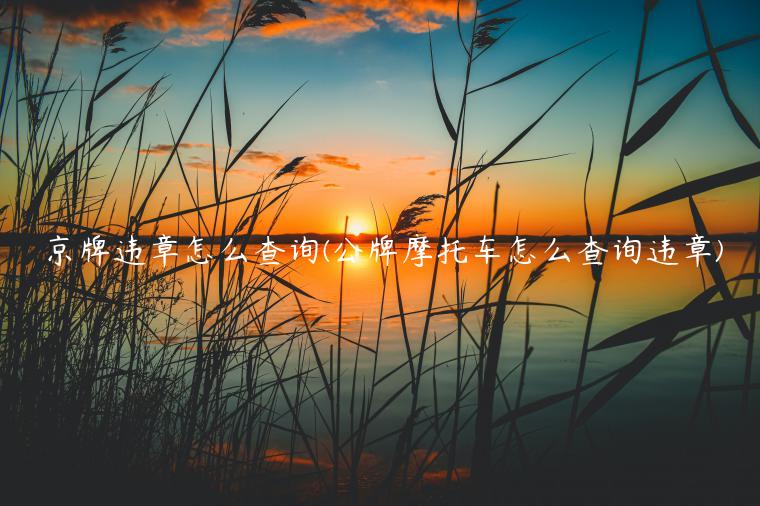 京牌违章怎么查询(公牌摩托车怎么查询违章)