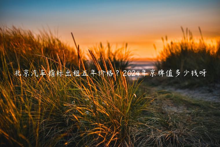 北京汽车指标出租五年价格？2024年京牌值多少钱呀