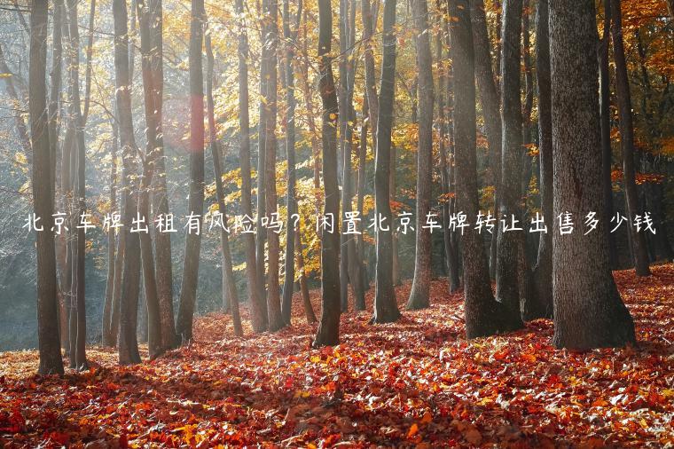 北京车牌出租有风险吗？闲置北京车牌转让出售多少钱