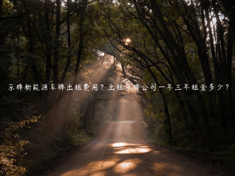 京牌新能源车牌出租费用？出租京牌公司一年三年租金多少？