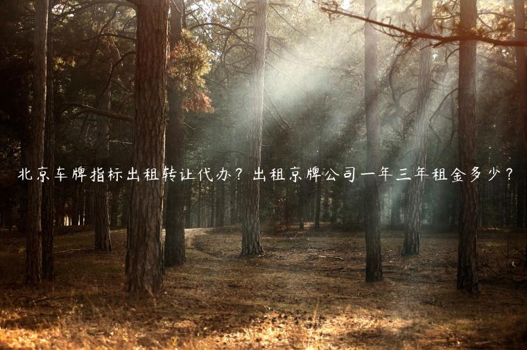 北京车牌指标出租转让代办？出租京牌公司一年三年租金多少？