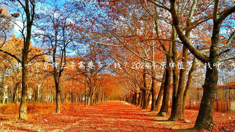 租一个京牌三年需要多少钱？2024年京牌值多少钱呀