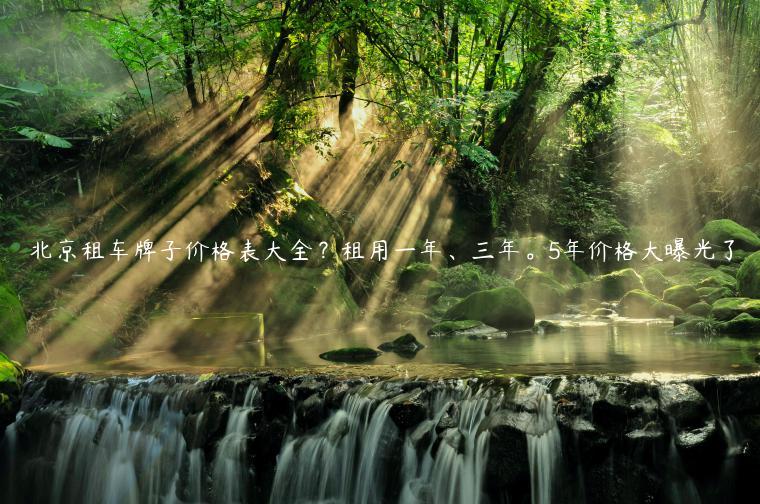 北京租车牌子价格表大全？租用一年、三年。5年价格大曝光了
