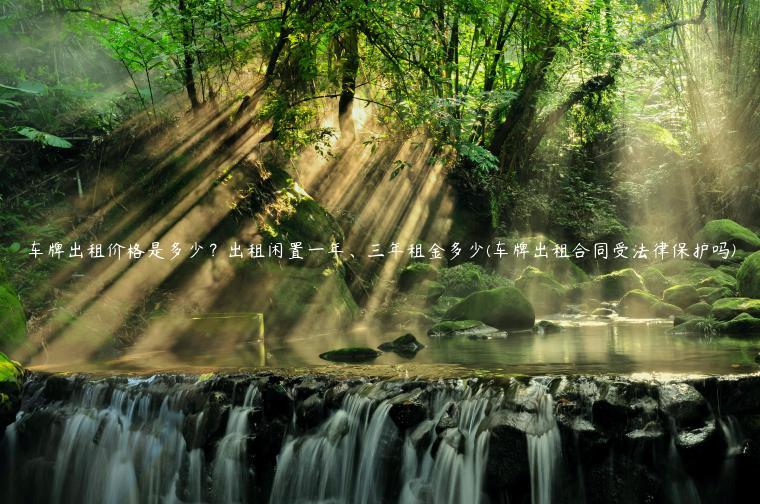 车牌出租价格是多少？出租闲置一年、三年租金多少(车牌出租合同受法律保护吗)
