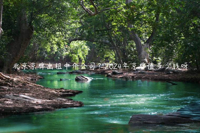 北京京牌出租中介公司？2024年京牌值多少钱呀