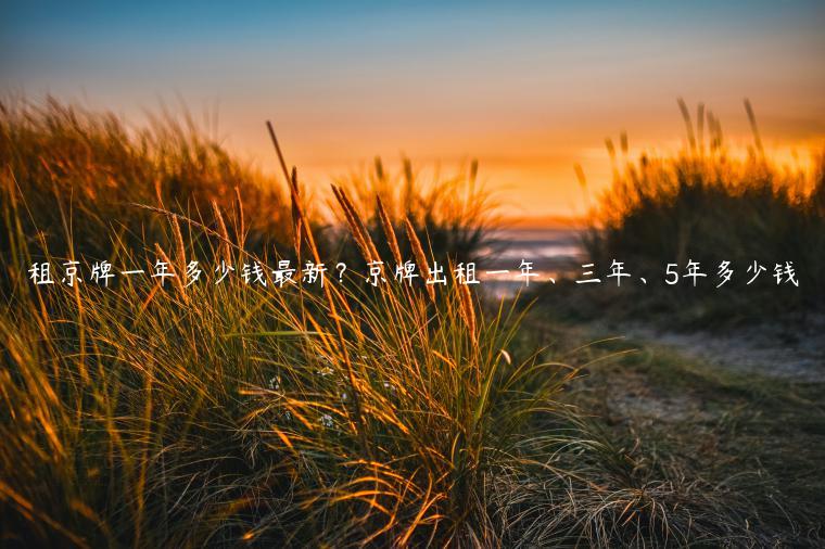租京牌一年多少钱最新？京牌出租一年、三年、5年多少钱