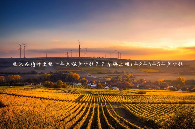 北京各指标出租一年大概多少钱？？京牌出租1年2年3年5年多少钱