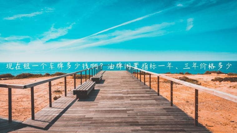 现在租一个车牌多少钱啊？油牌闲置指标一年、三年价格多少