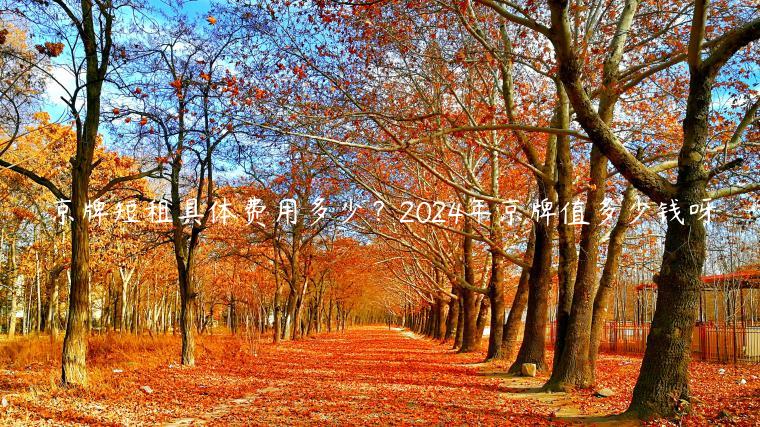京牌短租具体费用多少？2024年京牌值多少钱呀