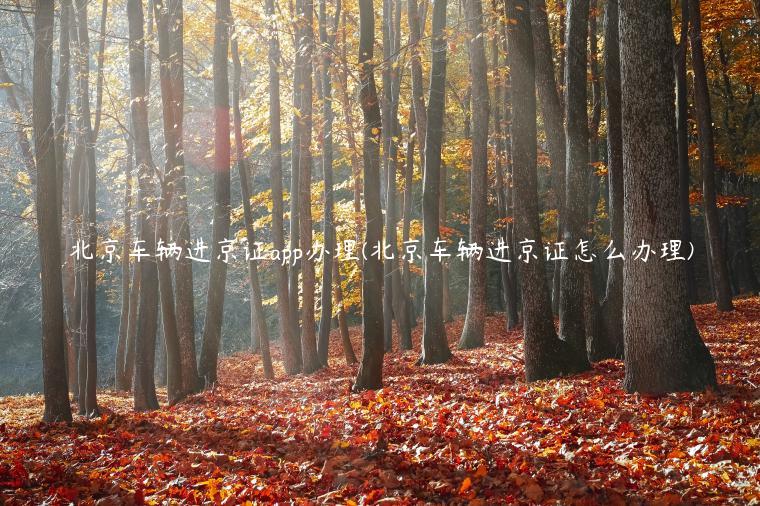 北京车辆进京证app办理(北京车辆进京证怎么办理)