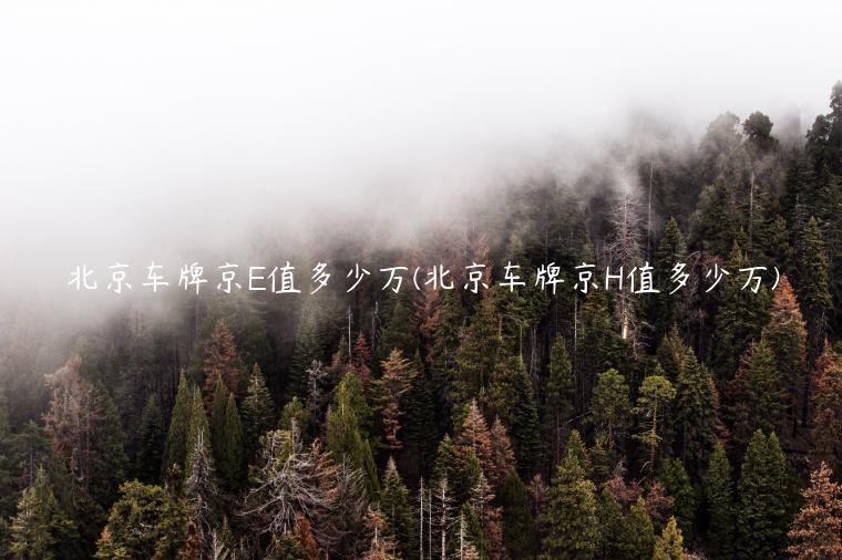 北京车牌京E值多少万(北京车牌京H值多少万)