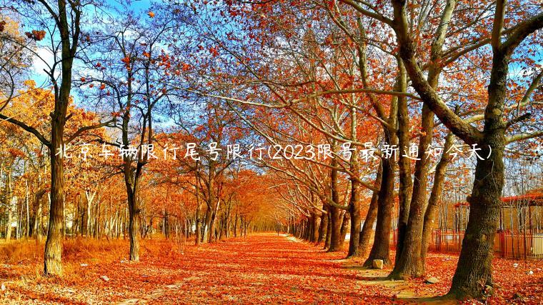 北京车辆限行尾号限行(2023限号最新通知今天)