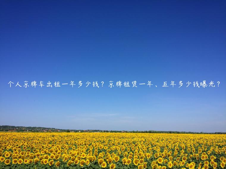 个人京牌车出租一年多少钱？京牌租赁一年、五年多少钱曝光？