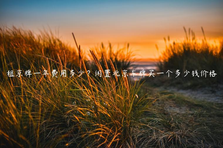 租京牌一年费用多少？闲置北京车牌买一个多少钱价格