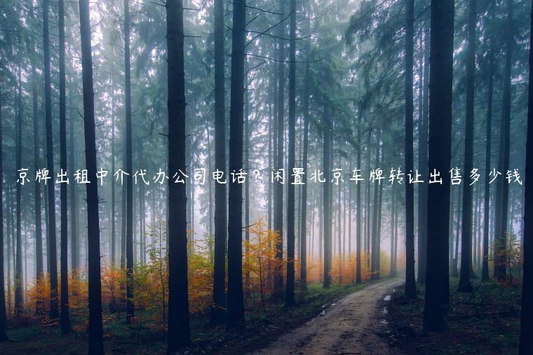 京牌出租中介代办公司电话？闲置北京车牌转让出售多少钱