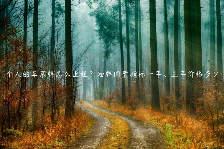 个人的车京牌怎么出租？油牌闲置指标一年、三年价格多少
