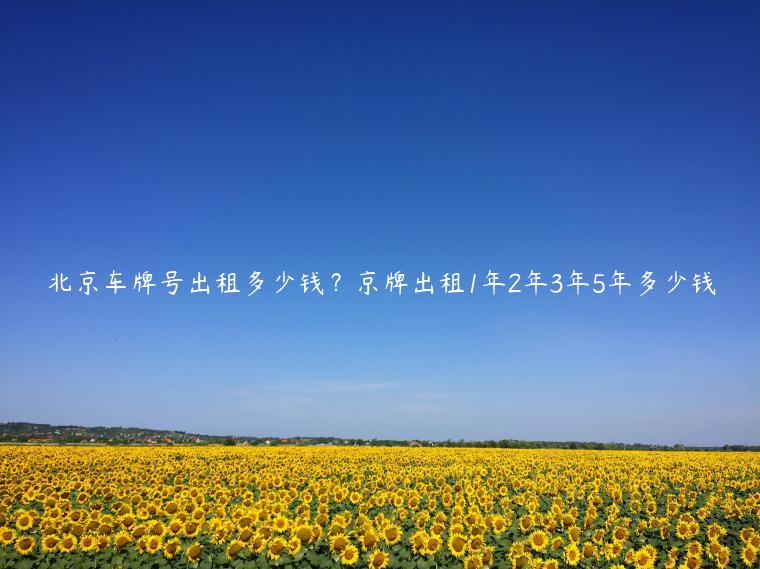 北京车牌号出租多少钱？京牌出租1年2年3年5年多少钱