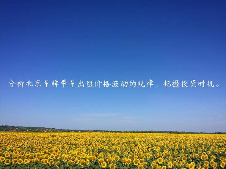 分析北京车牌带车出租价格波动的规律，把握投资时机。