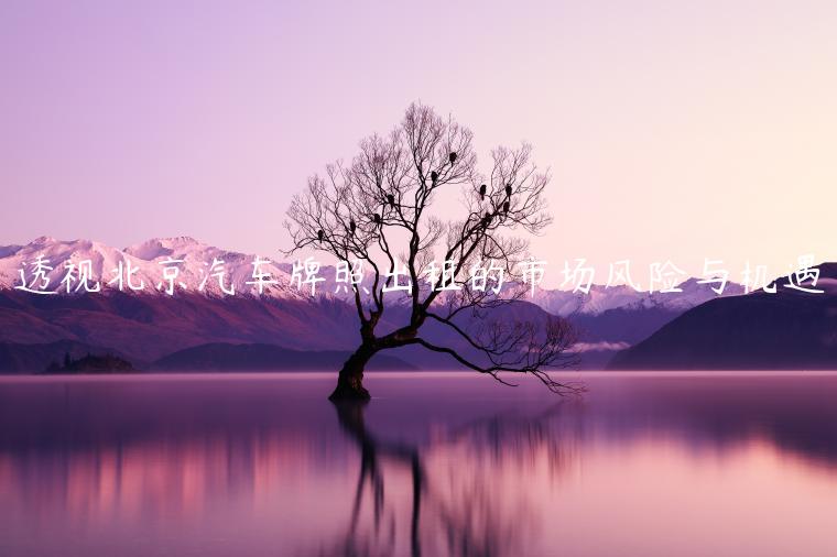 透视北京汽车牌照出租的市场风险与机遇
