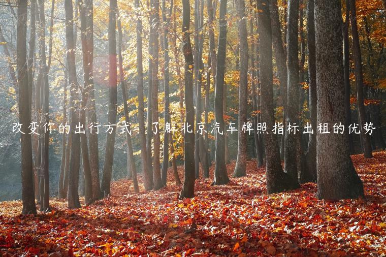 改变你的出行方式：了解北京汽车牌照指标出租的优势