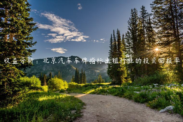 收益分析：北京汽车车牌指标出租行业的投资回报率