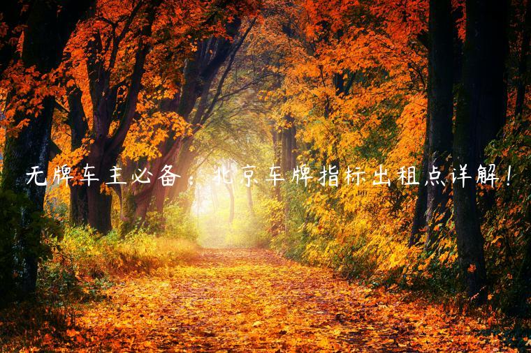 无牌车主必备：北京车牌指标出租点详解！