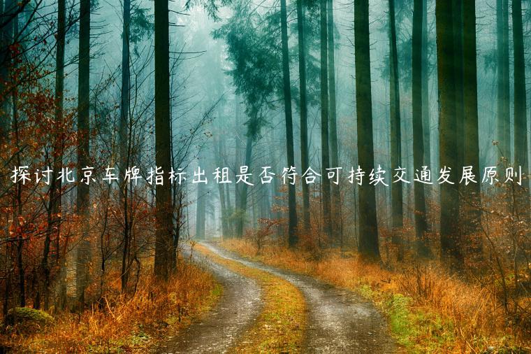 探讨北京车牌指标出租是否符合可持续交通发展原则