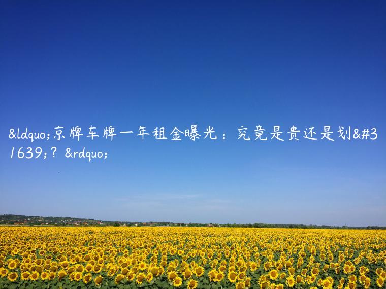 “京牌车牌一年租金曝光：究竟是贵还是划算？”