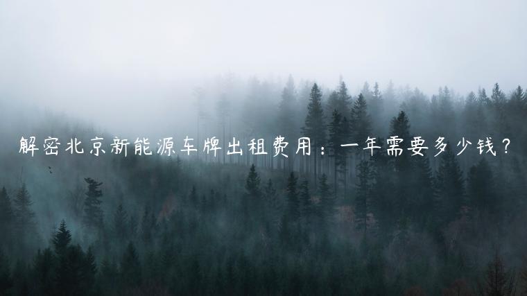 解密北京新能源车牌出租费用：一年需要多少钱？
