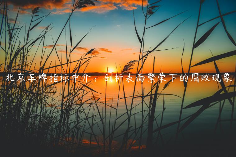 北京车牌指标中介：剖析表面繁荣下的腐败现象