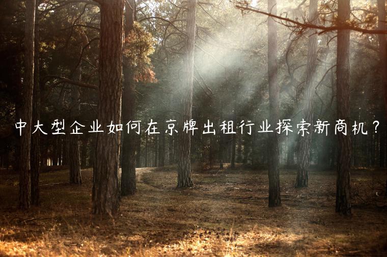 中大型企业如何在京牌出租行业探索新商机？