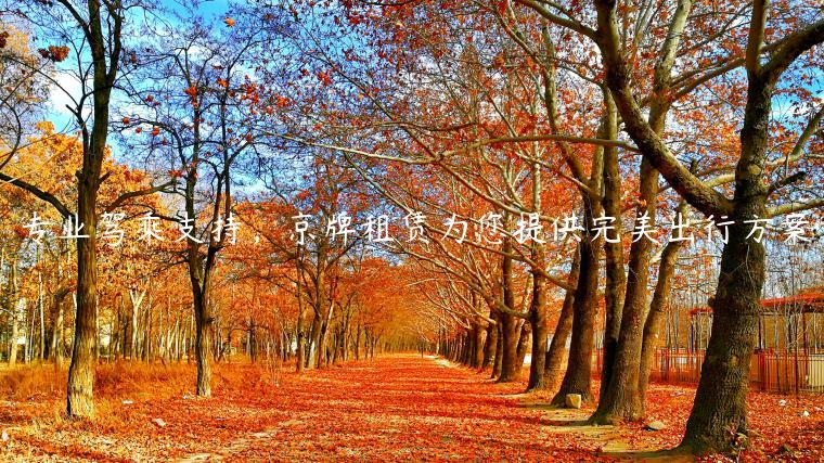 专业驾乘支持，京牌租赁为您提供完美出行方案