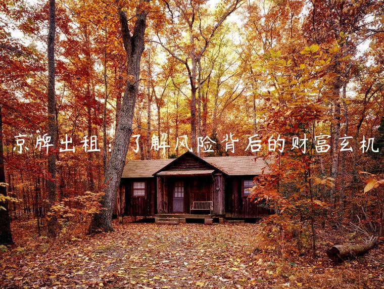 京牌出租：了解风险背后的财富玄机