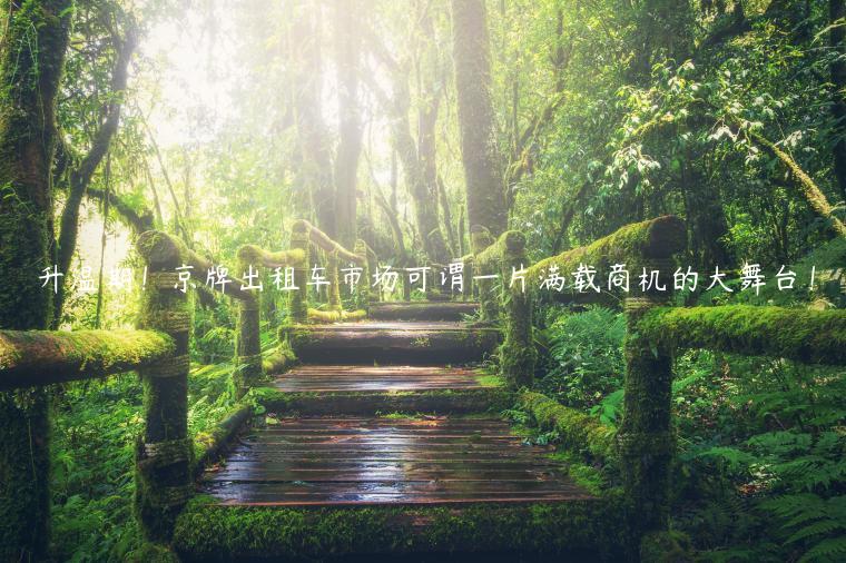 升温期！京牌出租车市场可谓一片满载商机的大舞台！