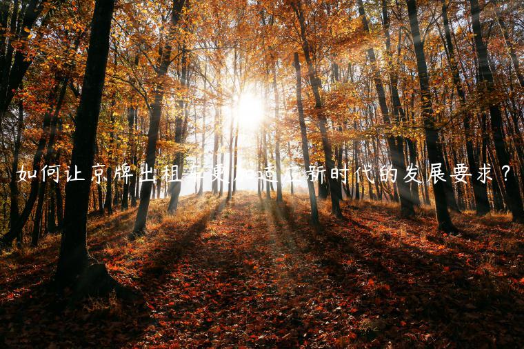 如何让京牌出租车更加适应新时代的发展要求？