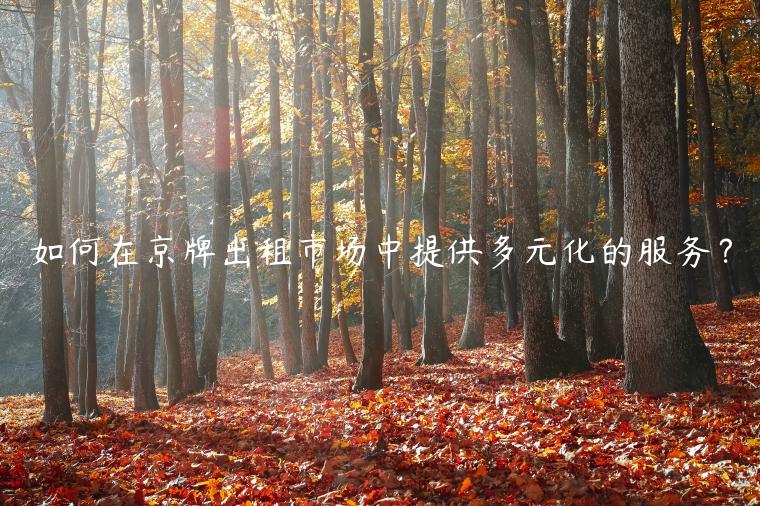 如何在京牌出租市场中提供多元化的服务？