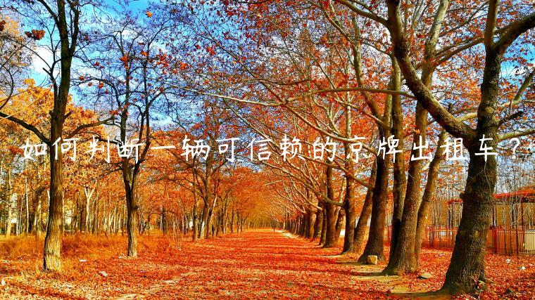 如何判断一辆可信赖的京牌出租车？
