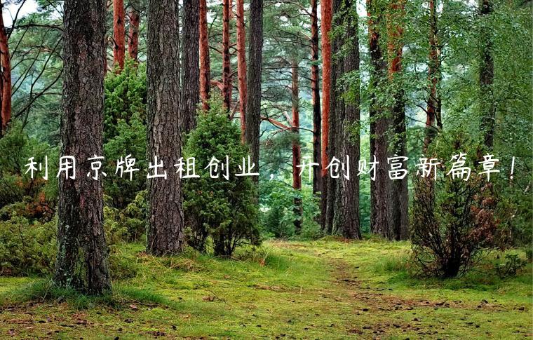 利用京牌出租创业，开创财富新篇章！