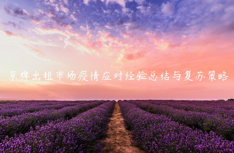 京牌出租市场疫情应对经验总结与复苏策略