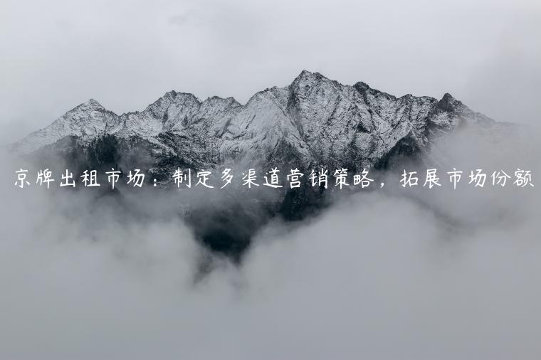 京牌出租市场：制定多渠道营销策略，拓展市场份额