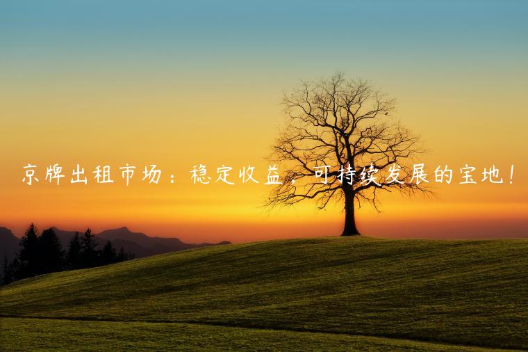 京牌出租市场：稳定收益，可持续发展的宝地！