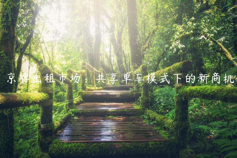 京牌出租市场：共享单车模式下的新商机