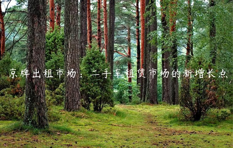 京牌出租市场：二手车租赁市场的新增长点