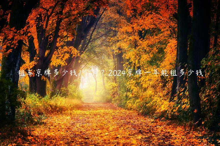 租车京牌多少钱1个月？2024京牌一年能租多少钱