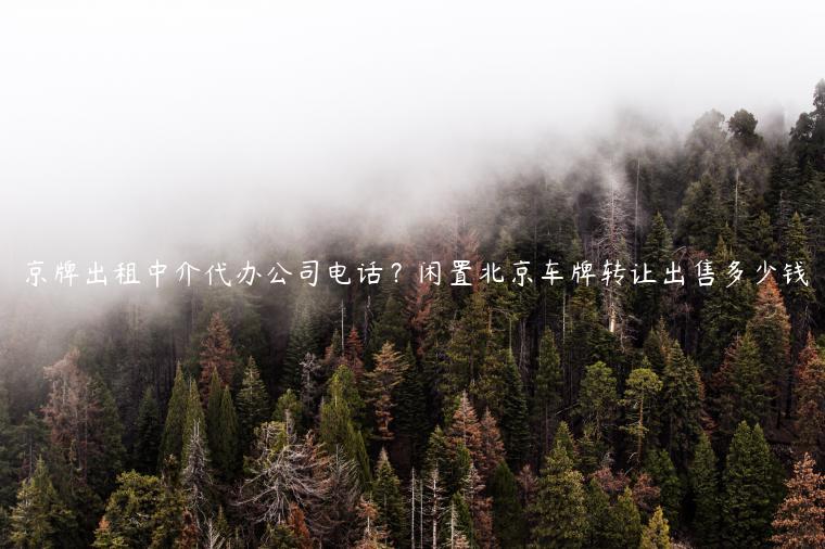 京牌出租中介代办公司电话？闲置北京车牌转让出售多少钱