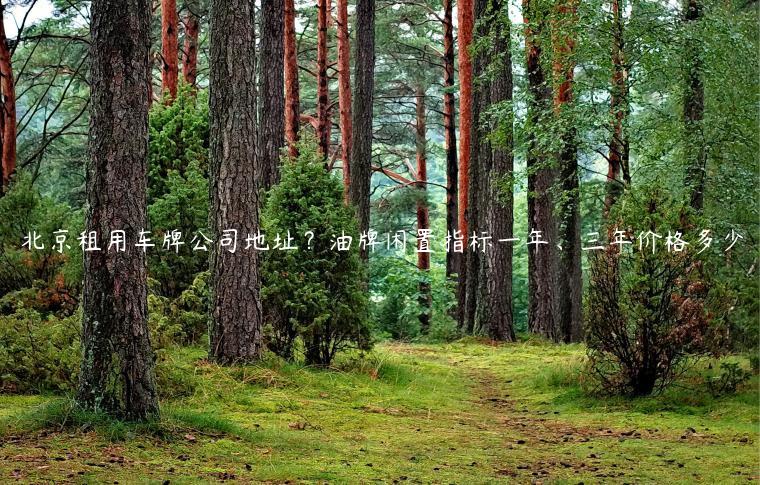 北京租用车牌公司地址？油牌闲置指标一年、三年价格多少